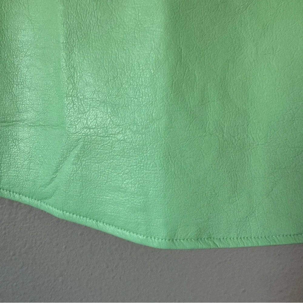 Tuckernuck Mint Chip Leather Mini Skirt - Picture 4 of 9